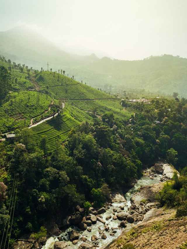 Kodaikanal Munnar Circuit